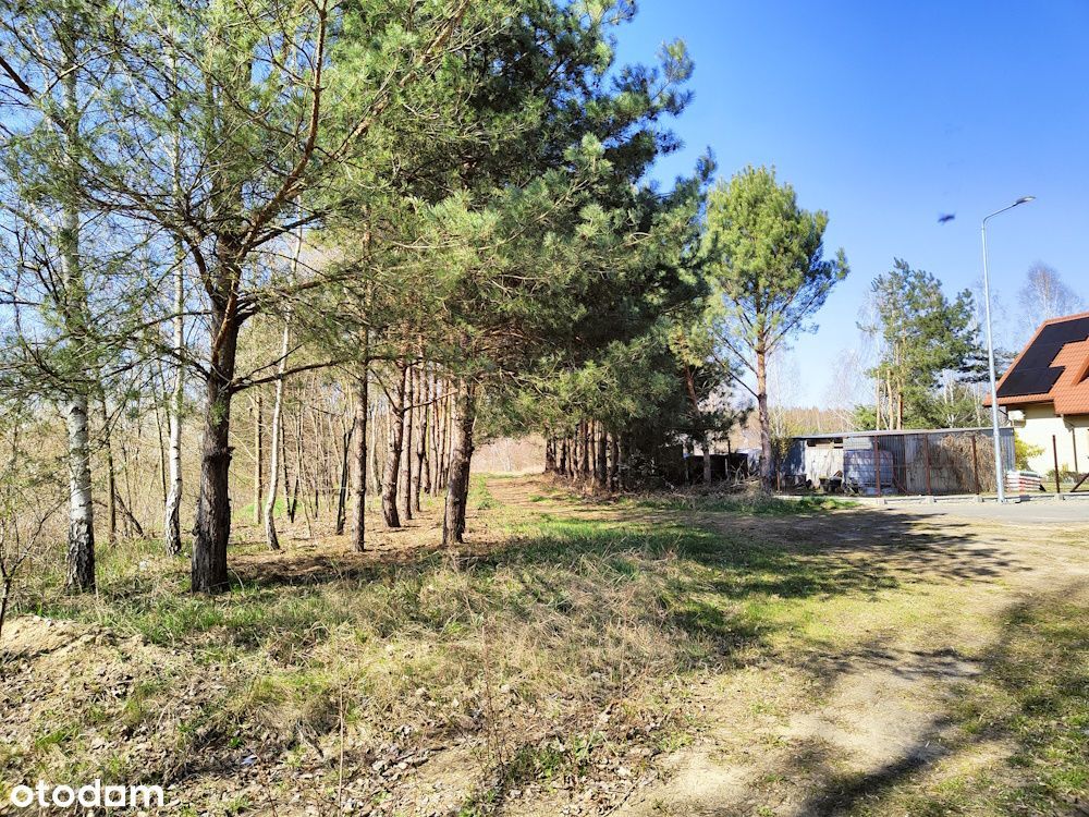 Działki 2,4 ha ul. Ciborowska, os. Godów/ Sołtyków, Radom
