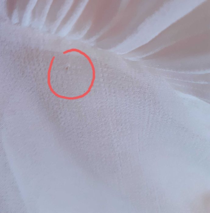 36 38 40 Bluzka z żabotem i plisowanymi rękawami biała przezroczysta