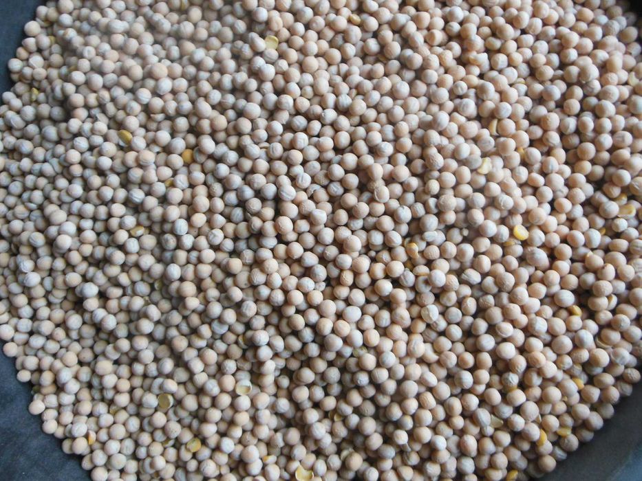 Groch odm. Astronaute.