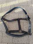 Waldhausen kantar full