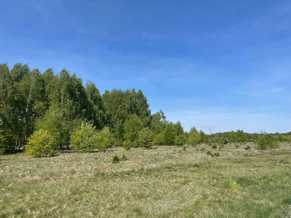 Działka Budowlana 1350 m2 - Teresin obok Bełchatów Łódź - Sklep Szkoła