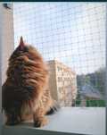 Montaż siatki na okno/balkon dla kota, przeciw ptakom