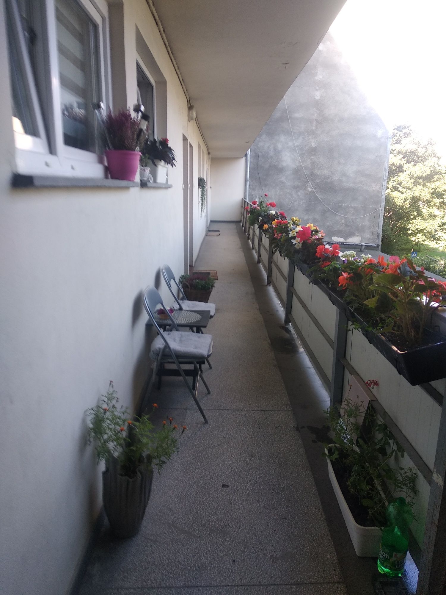 Apartament Vena centrum Wrocławia