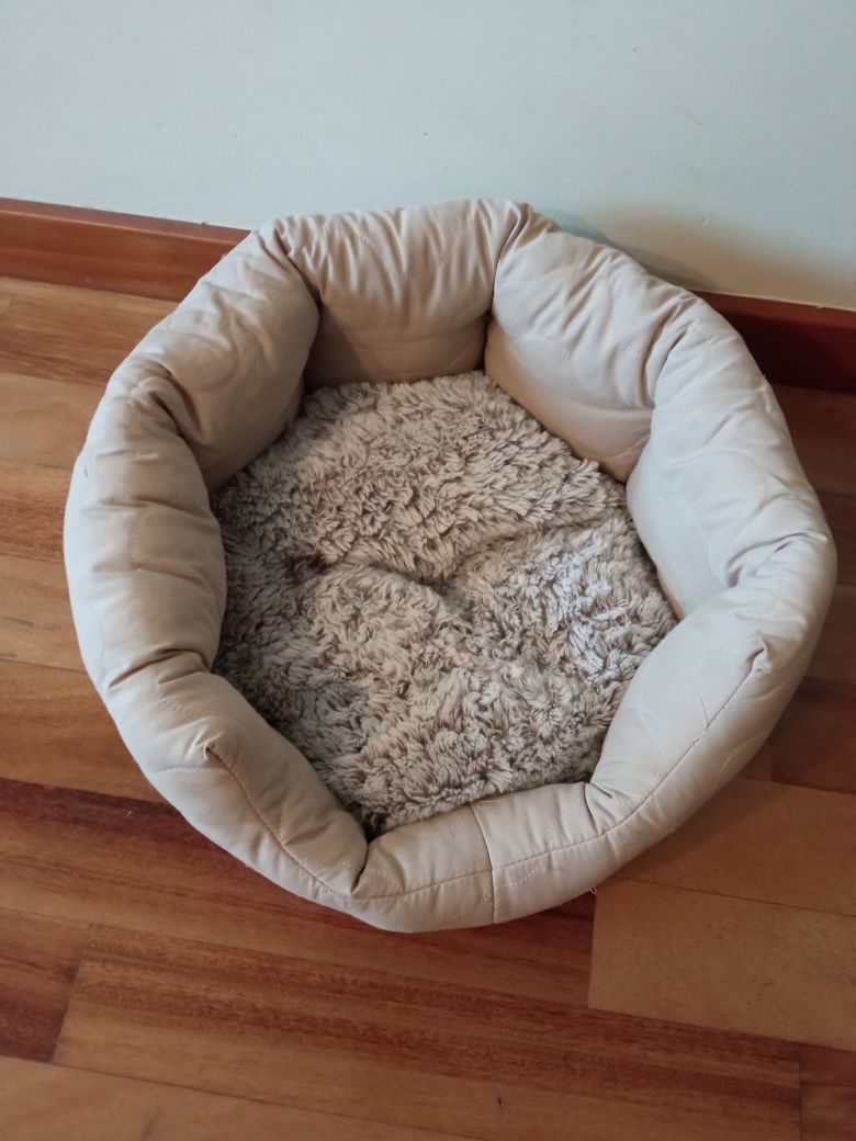 Cama para gatinhos / cão