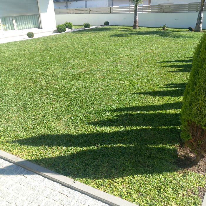 Serviços jardinagem