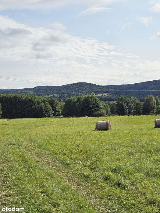 Działka z pieknym widokiem na góry Izerskie  9300 m²  Świeradów Zdrój