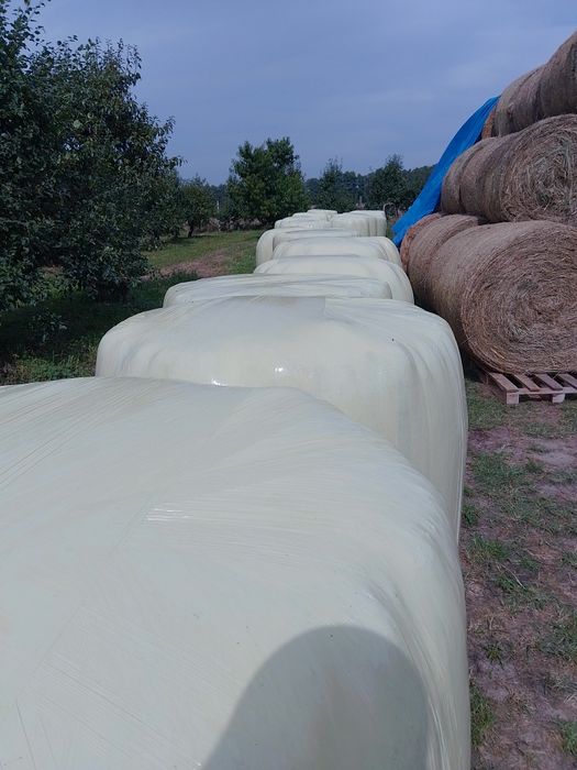 Sprzedam lub zamienię Sianokiszonka i siano