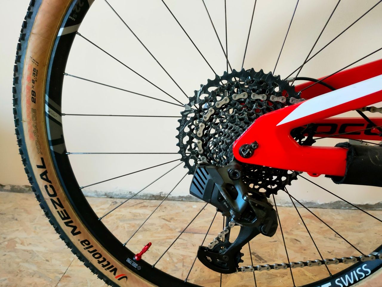 Focus O1E TEAM  one  xx1 axs carbon RS1