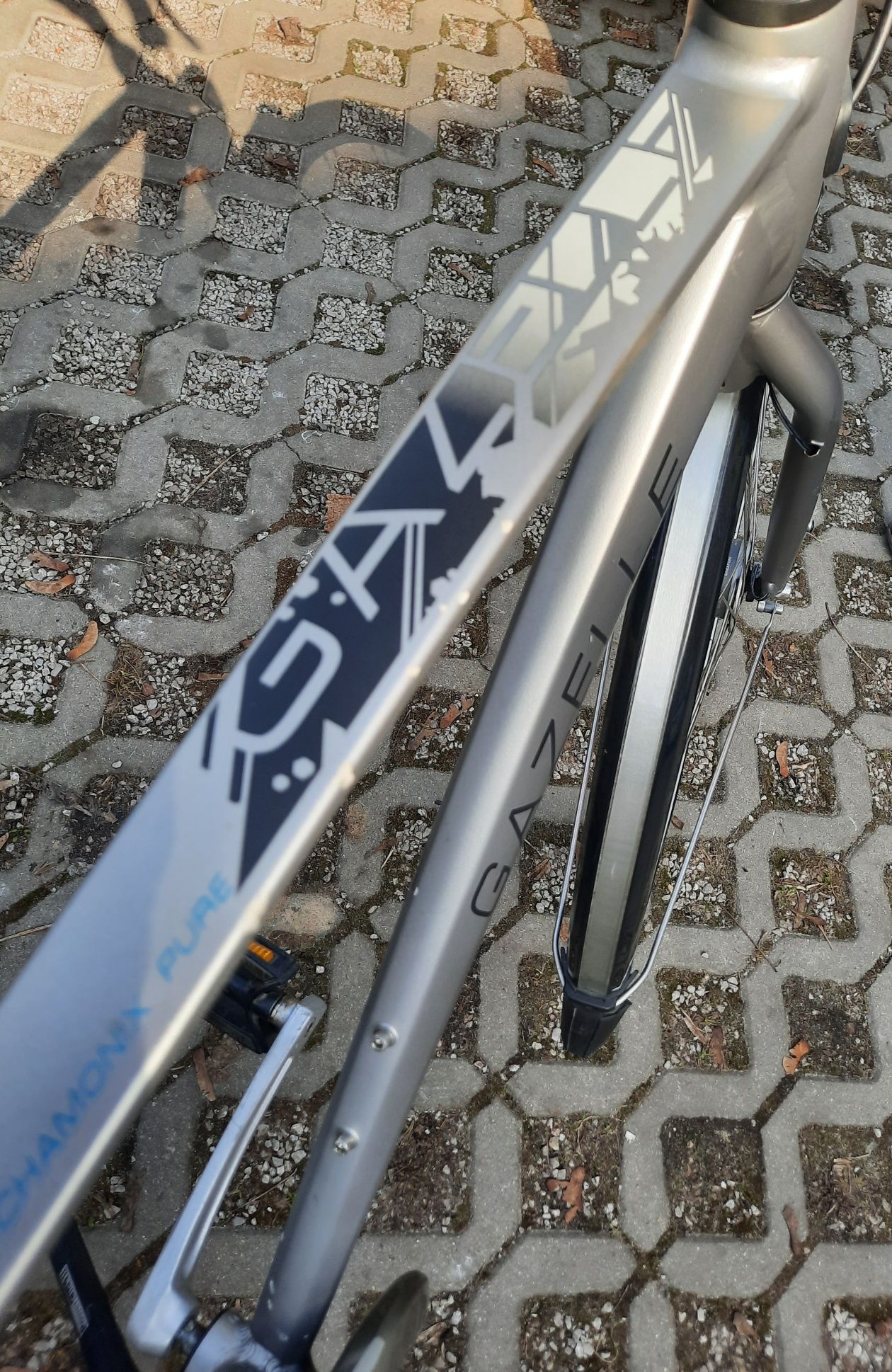 Gazelle Chamonix Pure