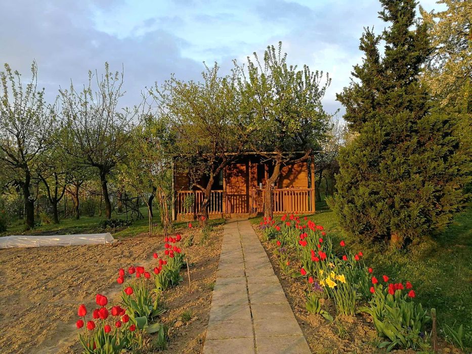 Działka ROD Oaza Uniszowice