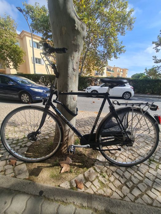 Bicicleta holandesa / Dutch bike