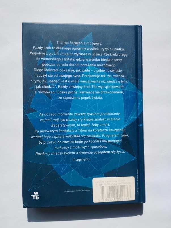 Upadek – Diego Mainardi