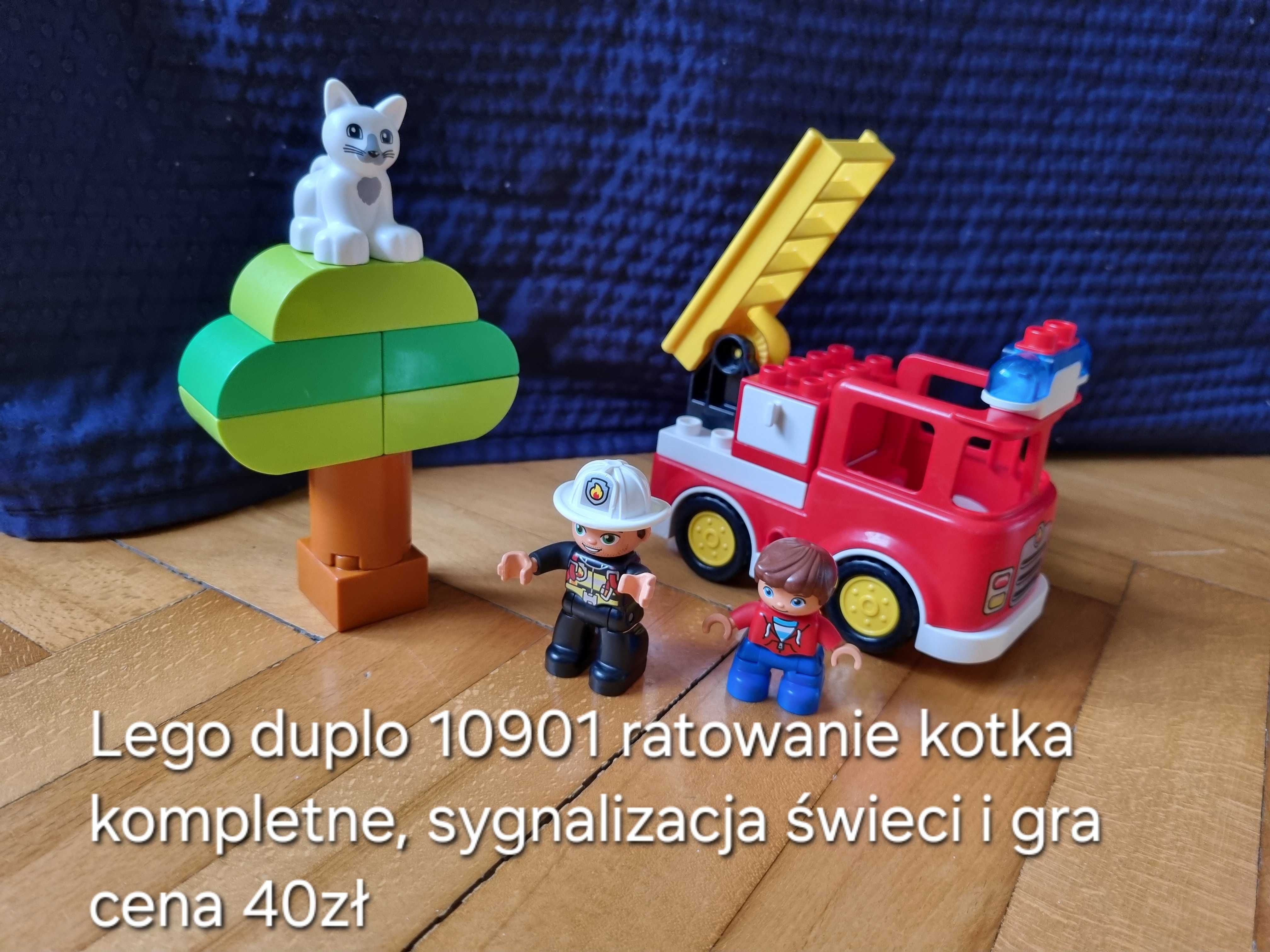 Lego duplo ratowanie kotka 10901