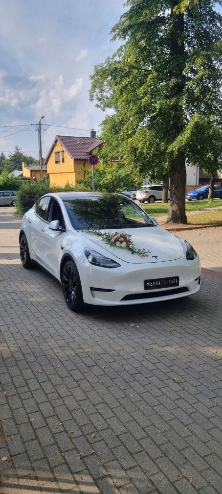 Tesla Y Performace samochód do ślubu Turek Kalisz Sieradz
