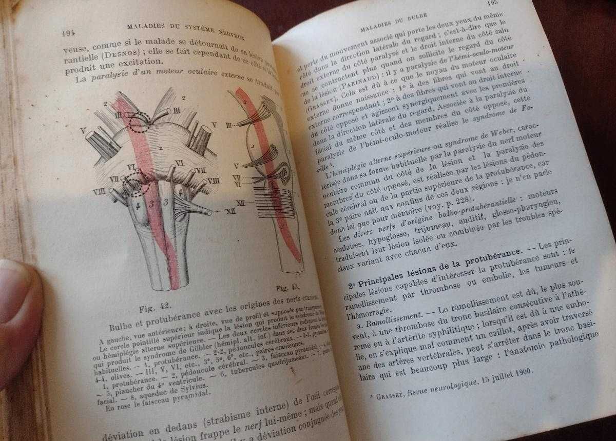 Précis de Pathologie Interne I - F. J. Collet 1914