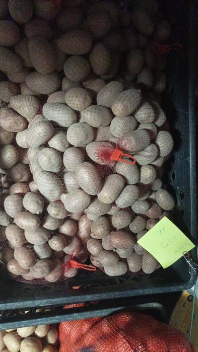 Agricultura produtor