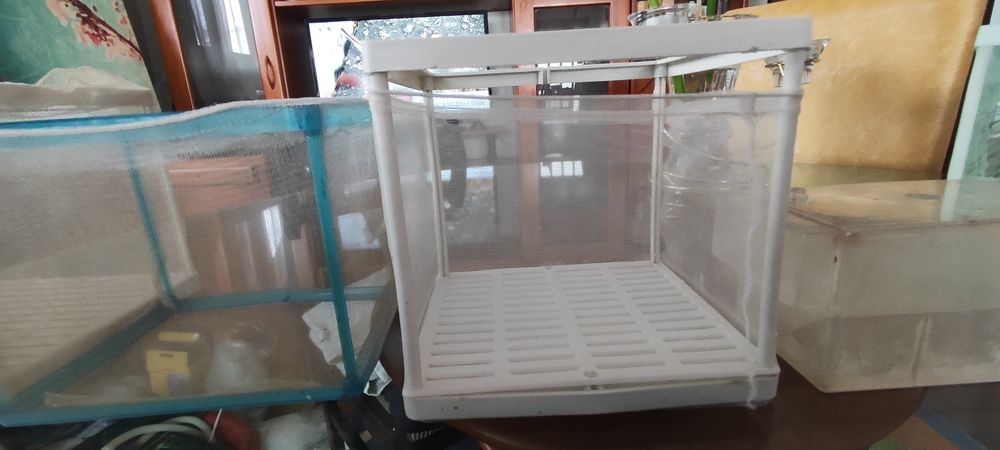 Vendo 5 maternidades de vários tampas