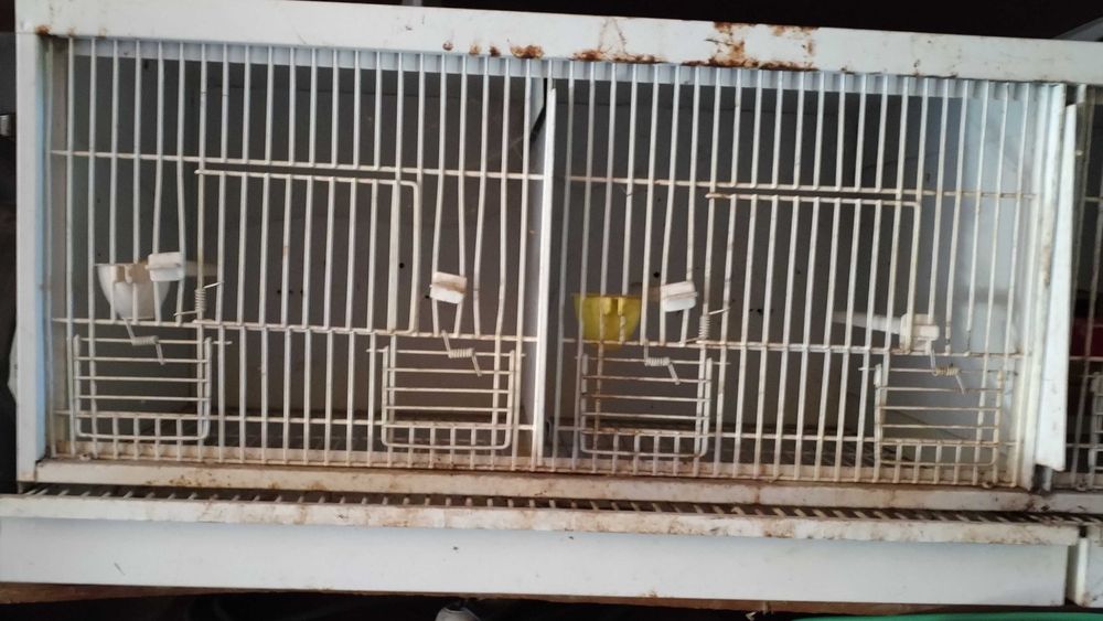 Viveiro Para aves de 4 divisões