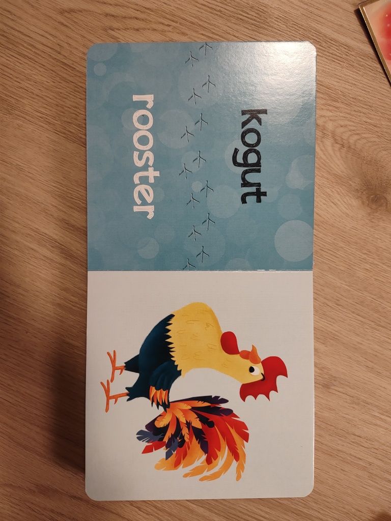 Kakadu. Zwierzęta domowe. Widzę - słyszę - poznaję. Stan bdb