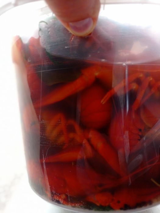 Живі річкові раки