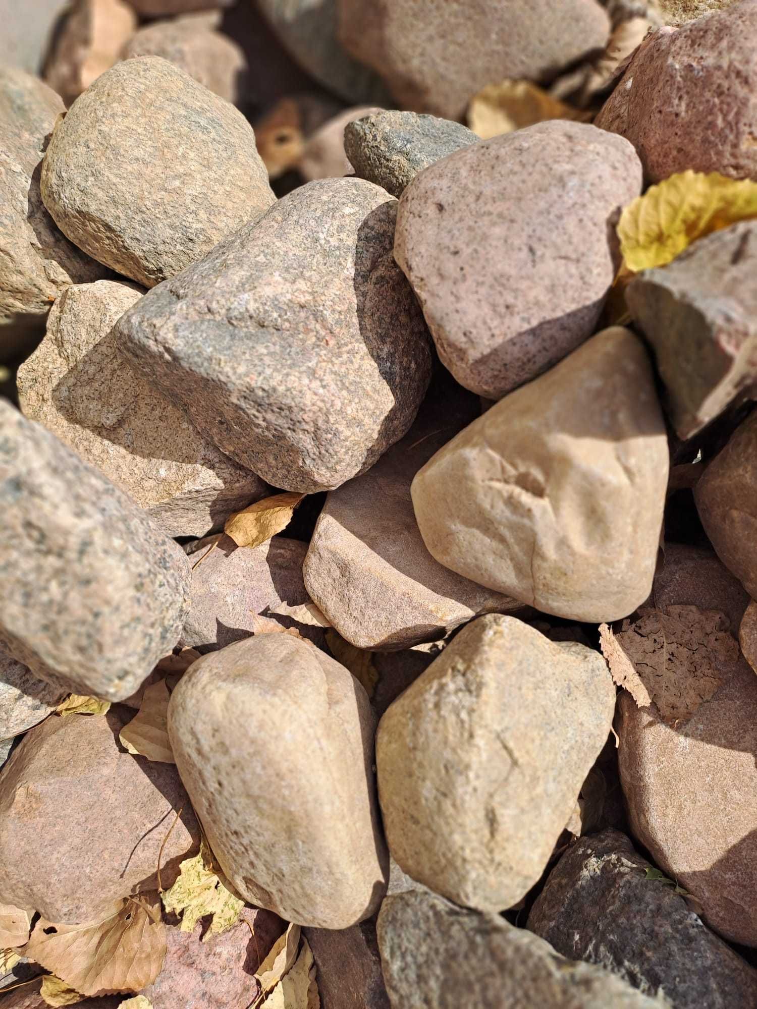 Kamień ogrodowy, ozdobny, skalniak, duży