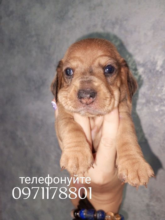 Міні - такси шукають батьків, це Ви ? зателефонуйте