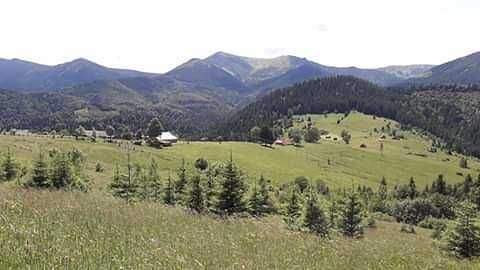 Від власника земельна ділянка в с.Дземброня.