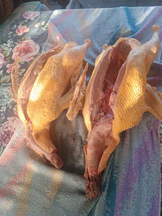 Kaczki tuszka chów wiejski