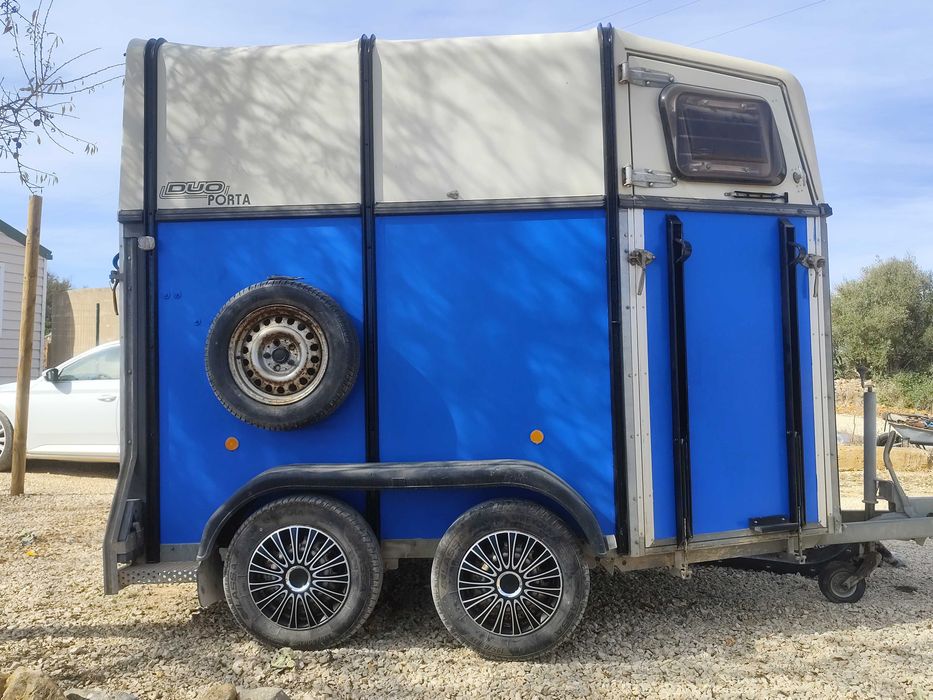 Reboque para Cavalos Böckmann ano 2003 à venda