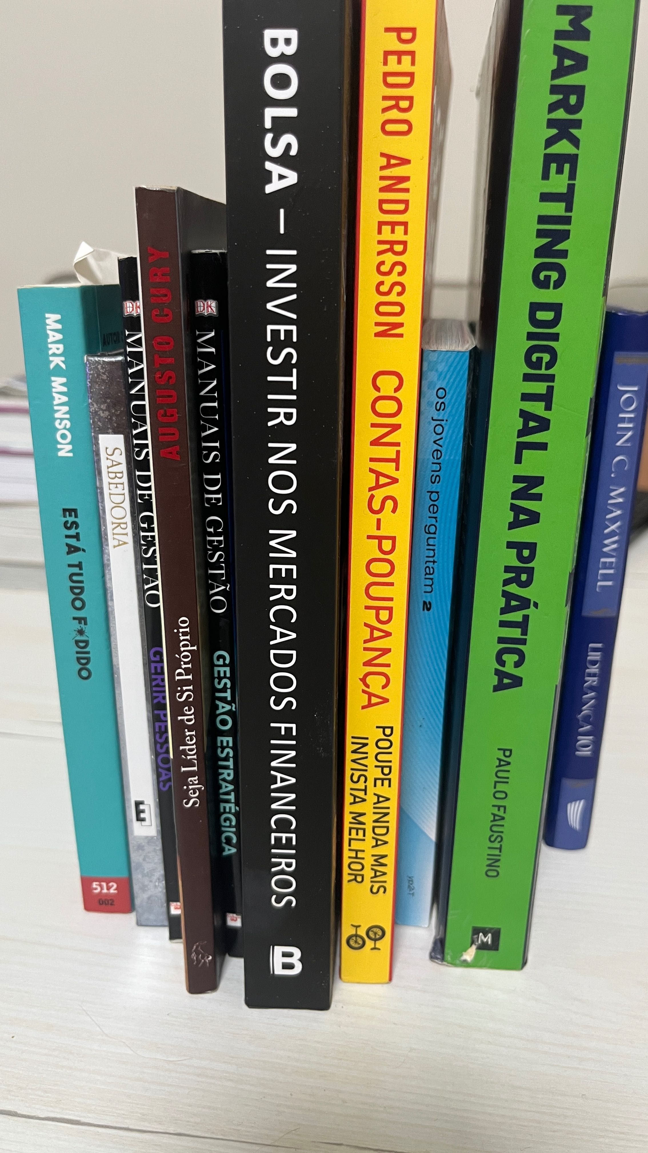 Conj. Livros Liderança, Gestão, Finanças, Marketing e Desenvol Pessoal