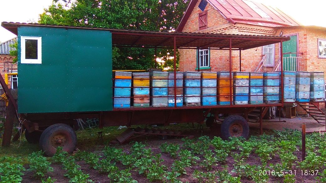 Пчелопавильон , платформа для пчел.
