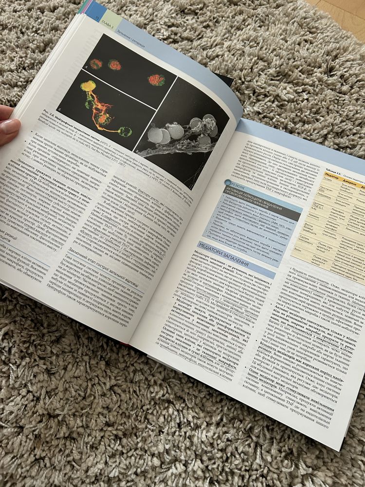 Основи патології за Роббінсом переклад 10-го видання