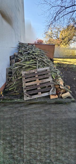 Drewno sosna na opał