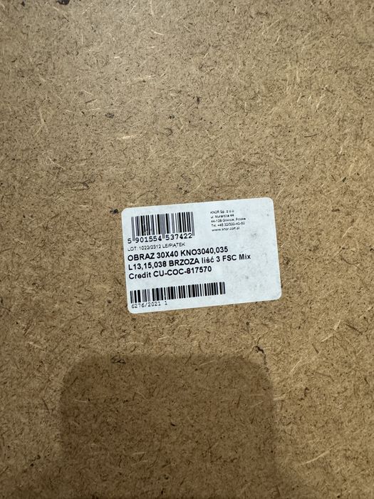 Obrazy boho 30x40 z ramką motyw roślin