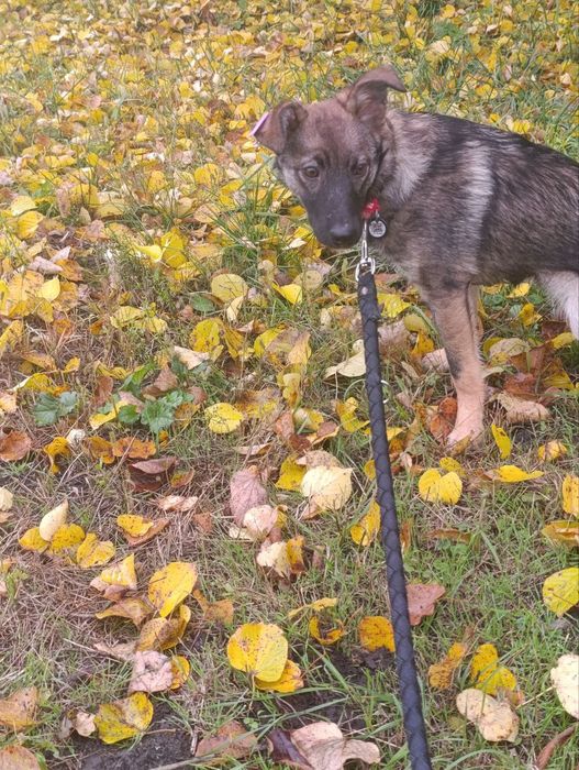 Малюки в родини!