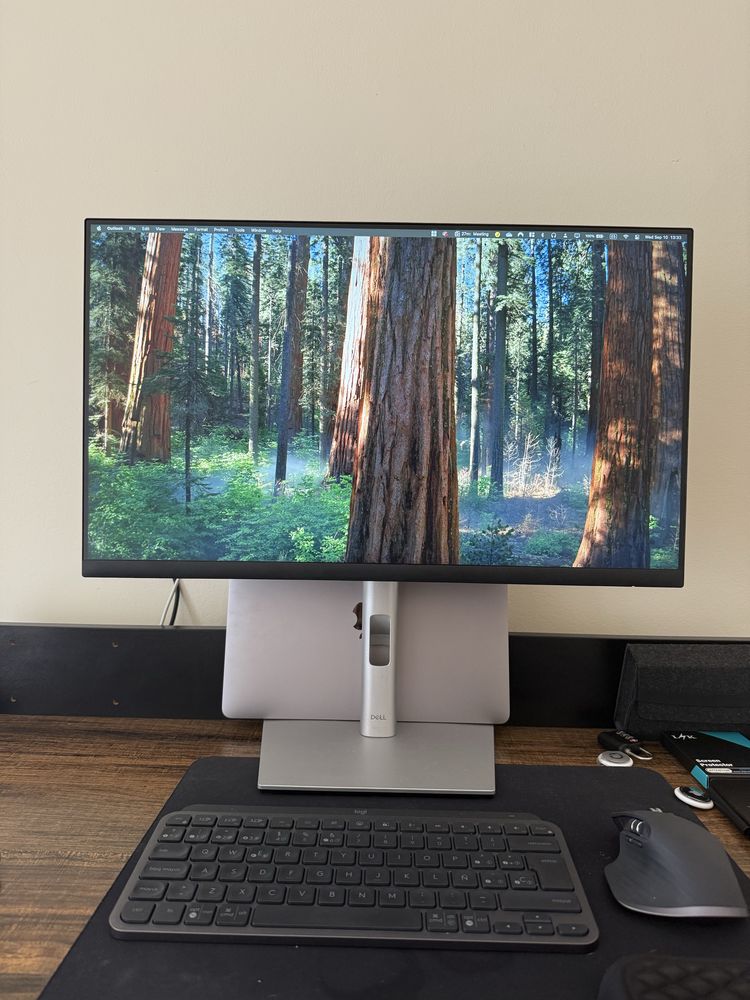 Monitor Dell P2422H