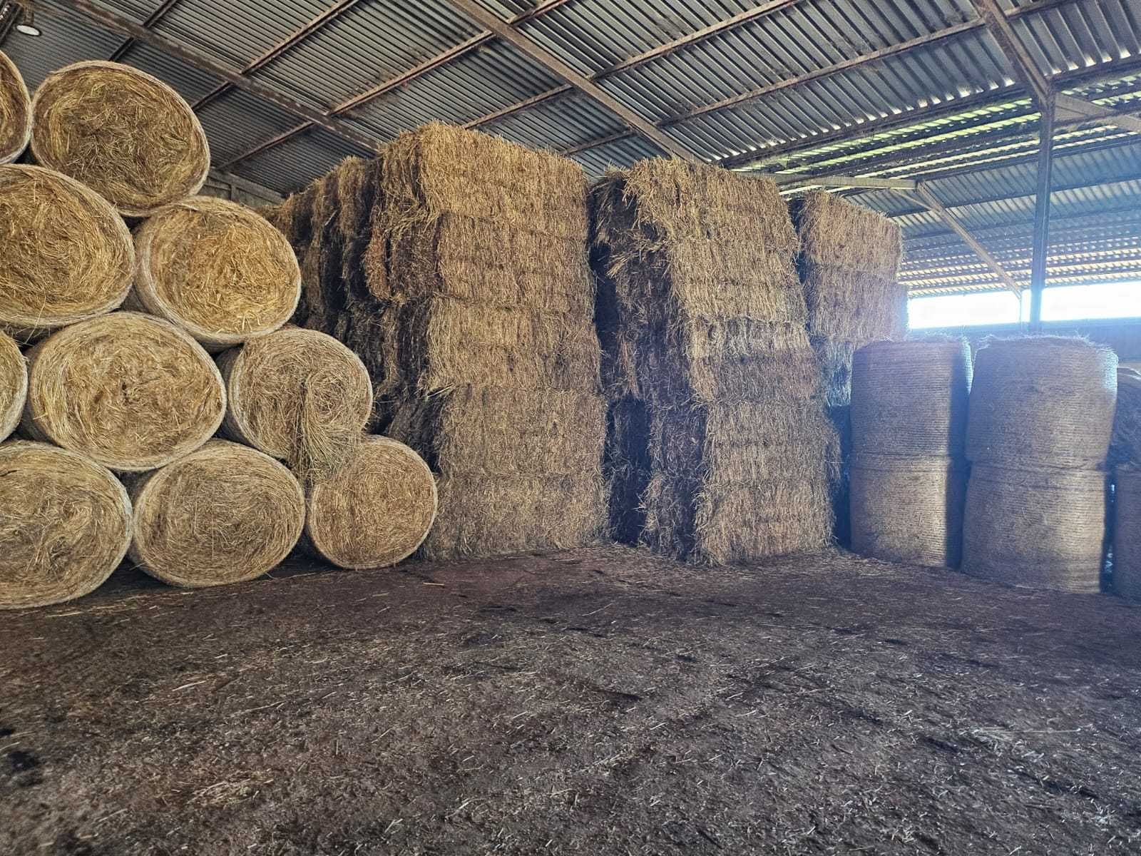 Vende-se fardos de feno 80*90 de excelente qualidade