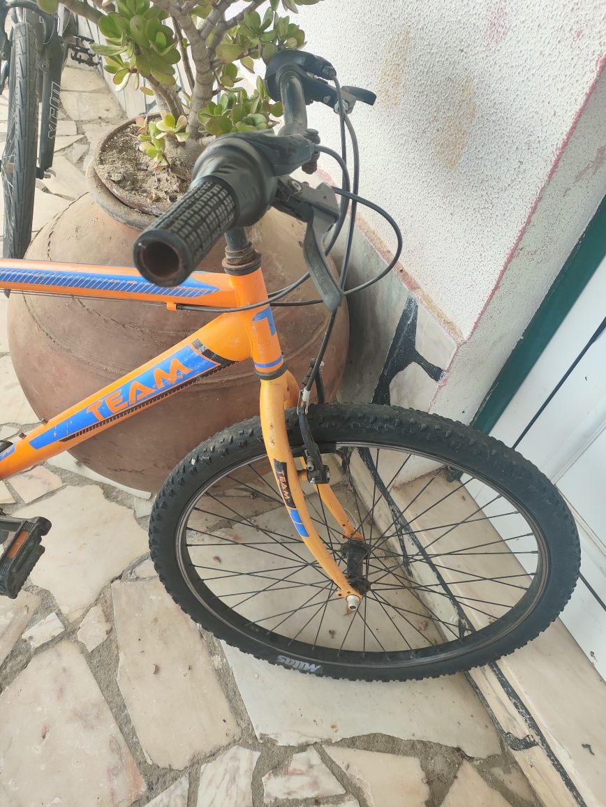 Vendo bicicleta da marca TEAM
