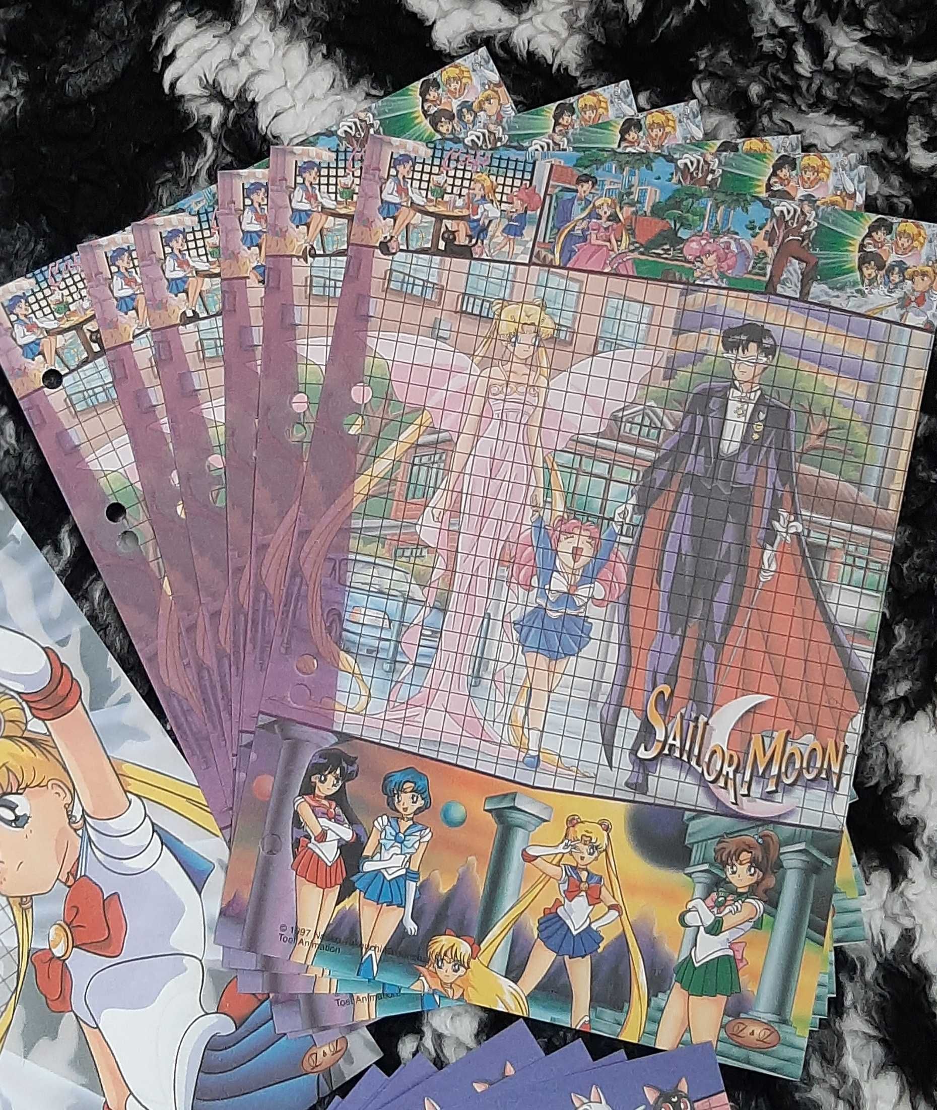 Sailor Moon / Czarodziejka z Księżyca - KARTECZKI do segregatora