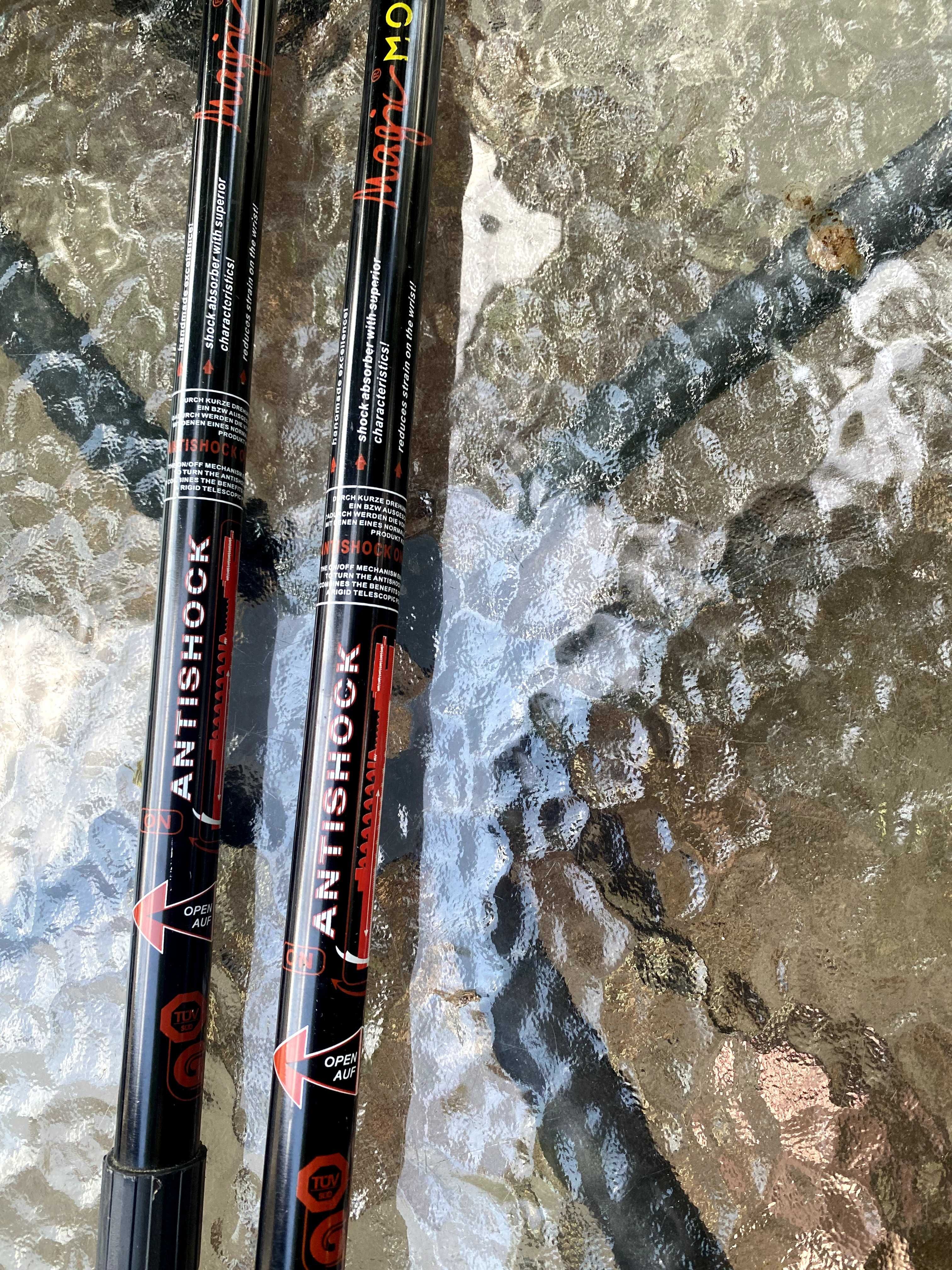 Kijki do nordic walking