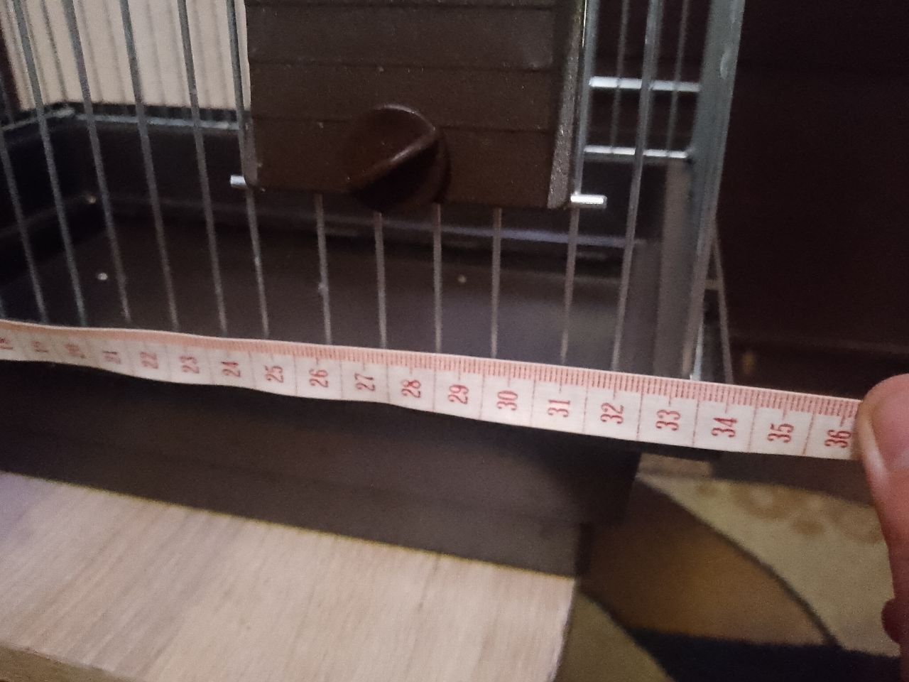 Клітка для папуг