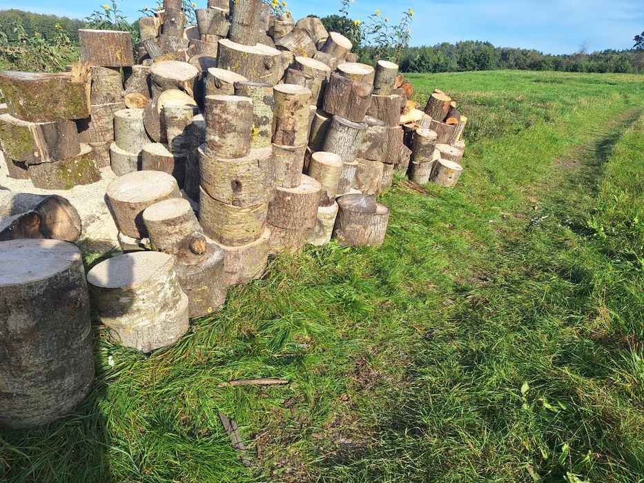 Grube , sozonowane drewno opałowe tylko liściaste.