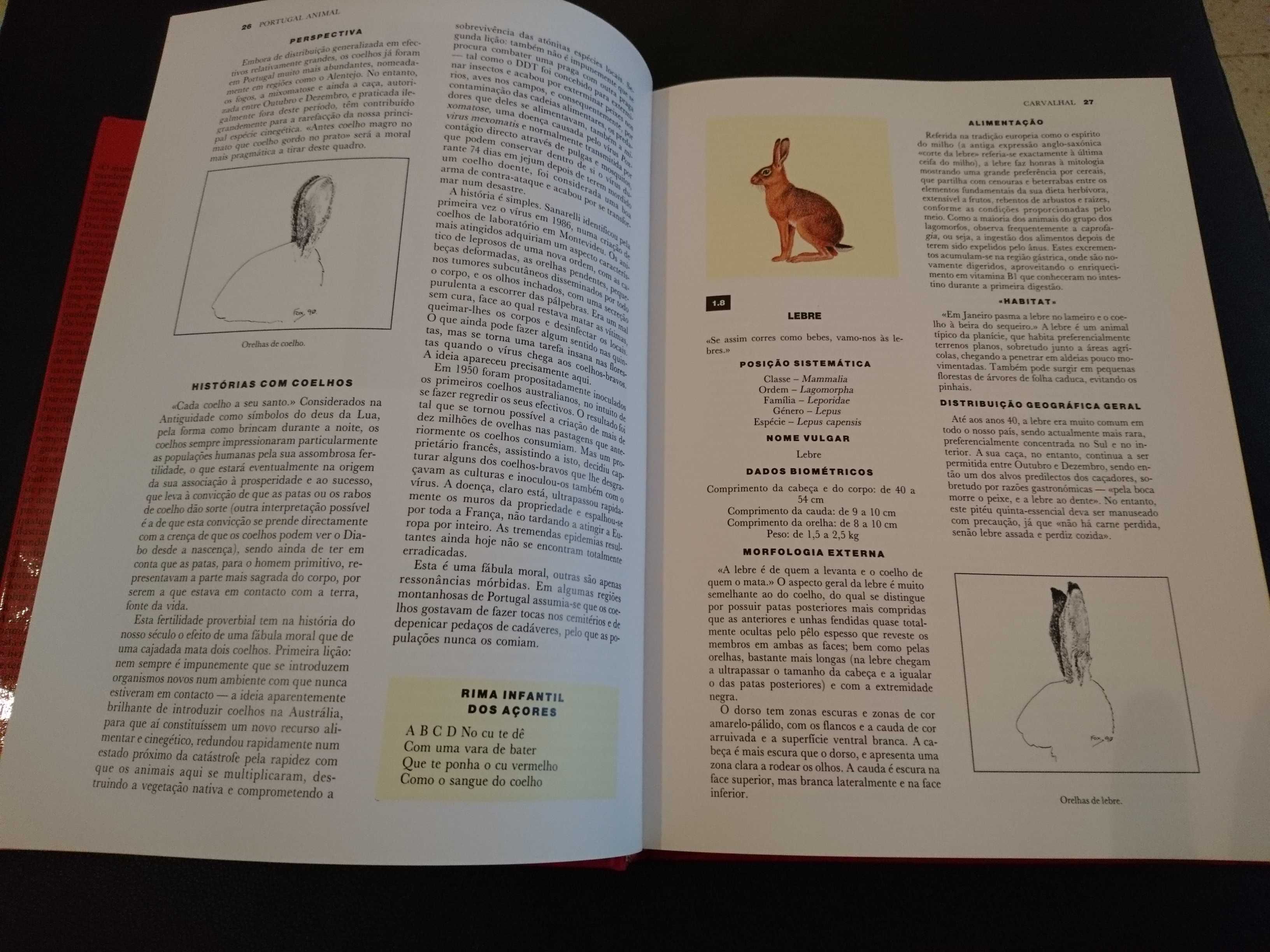 "Portugal Animal", Clara P. Correia/ "Animais em Perigo"