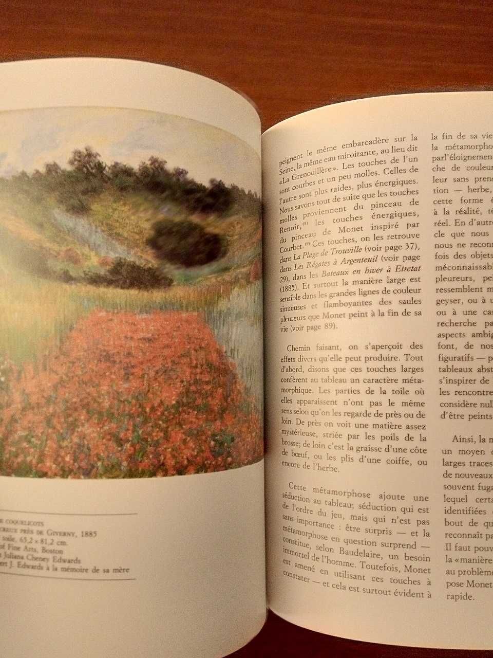 Monet - Livro de Arte - Pintura