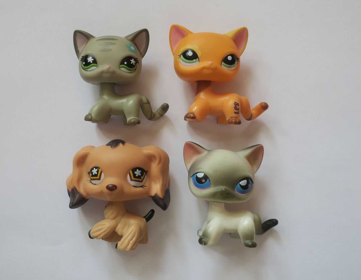 Pies spaniel kot shorthair littlest pet shop