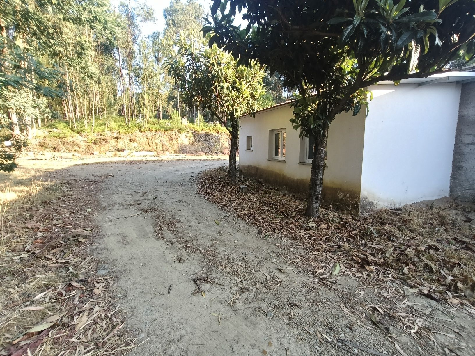 Vendo Armazém com terreno envolvente