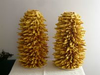 Sękacz Podlaski- na własnych produktach, pychota:)- 2kg.