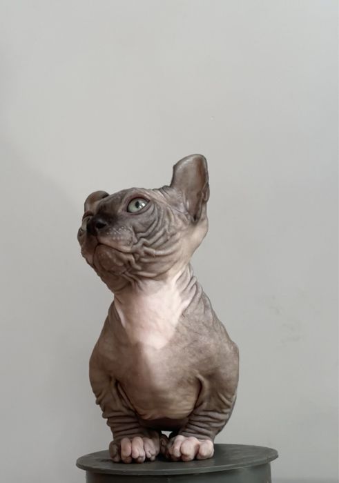 Двэльф   мальчик