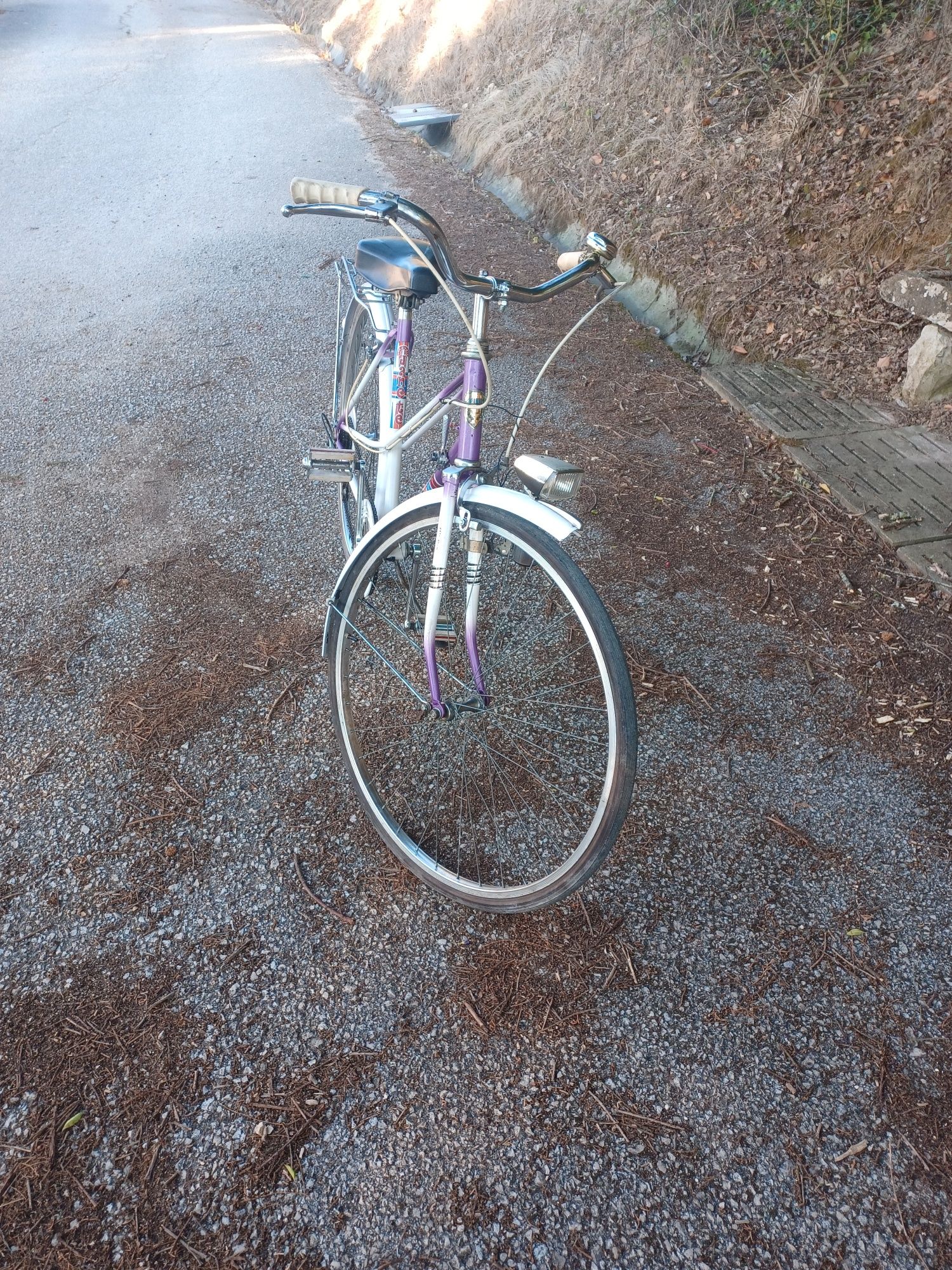 Bicicleta Janette