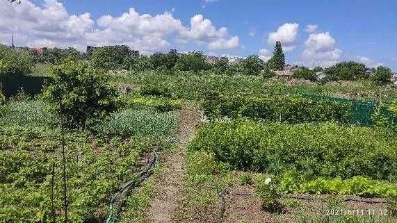 (13) Продам будинок в с. Великий Дальник (3 квартал)